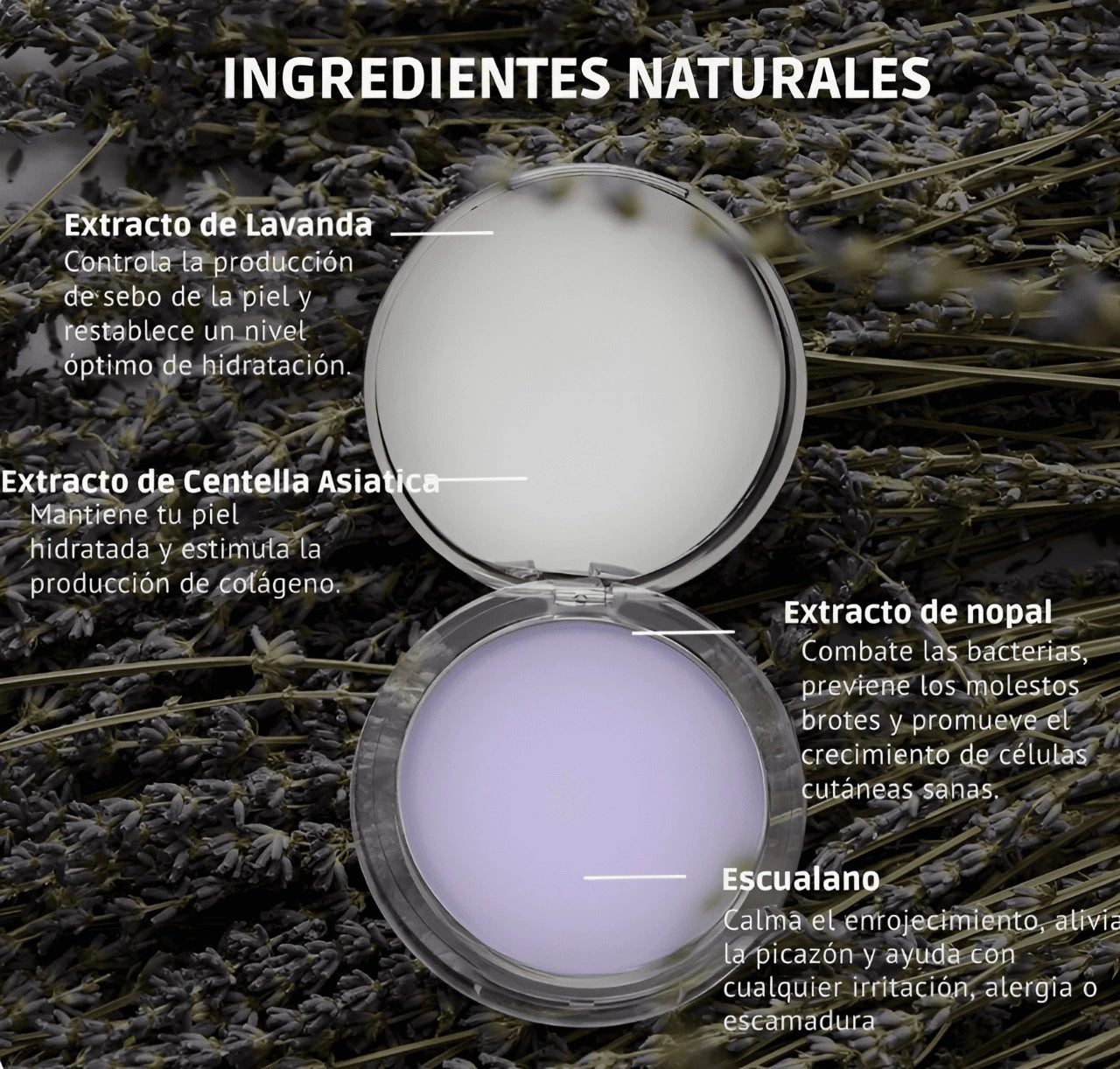Lavender Matte: ¡Control de brillo sin esfuerzo y piel impecable todo el día!