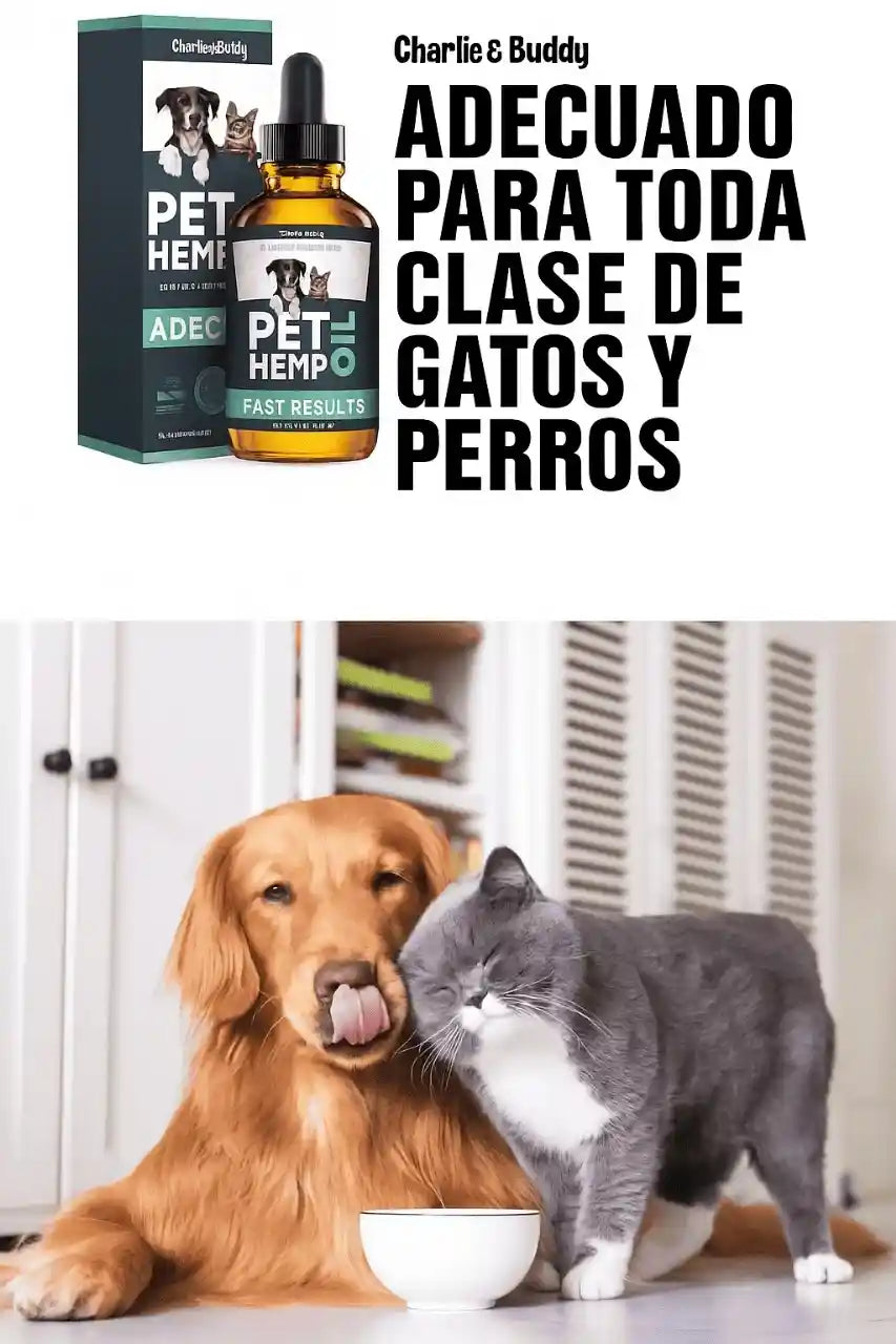 Bienestar natural para tu mascota – Fórmula con Omegas y vitaminas