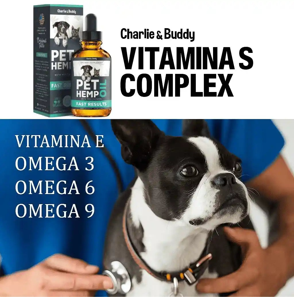 Bienestar natural para tu mascota – Fórmula con Omegas y vitaminas