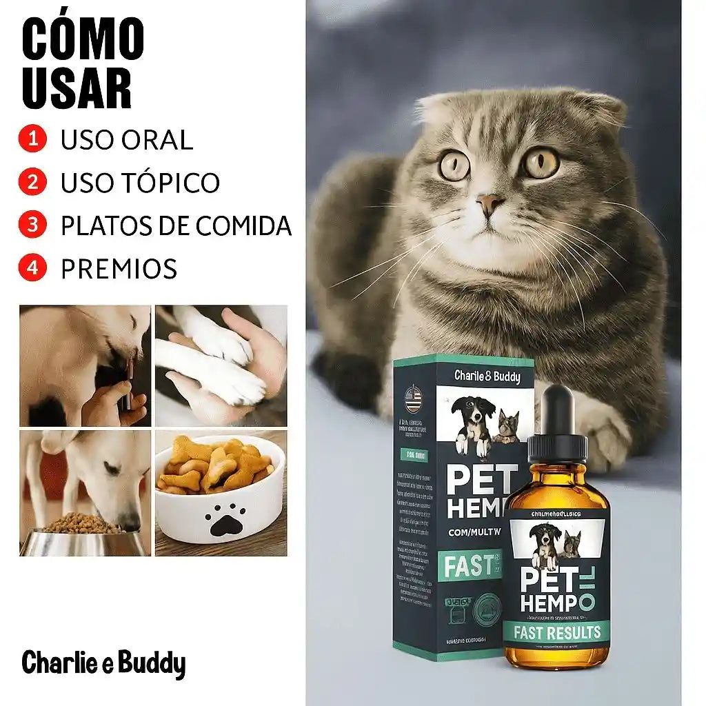 Bienestar natural para tu mascota – Fórmula con Omegas y vitaminas