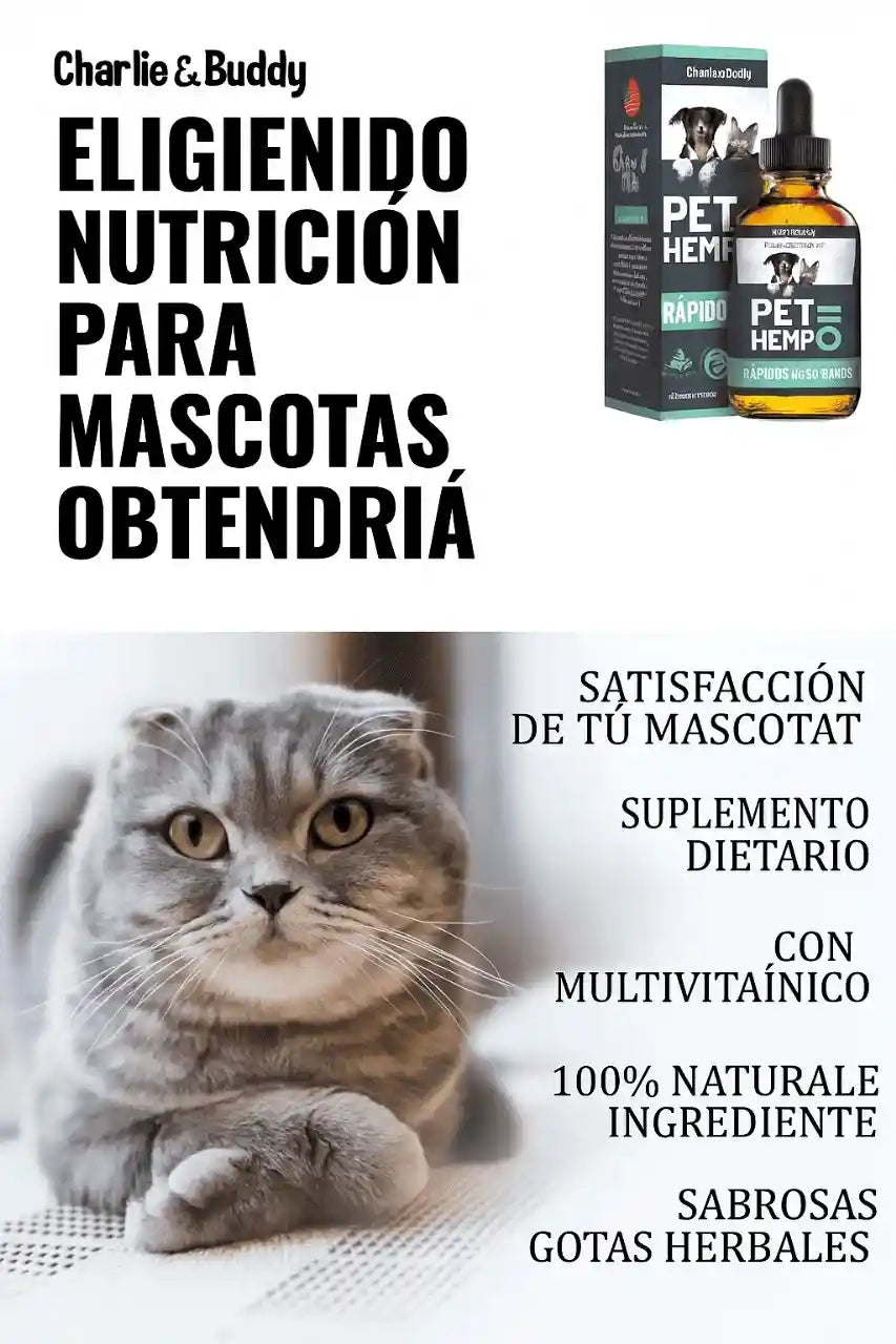 Bienestar natural para tu mascota – Fórmula con Omegas y vitaminas